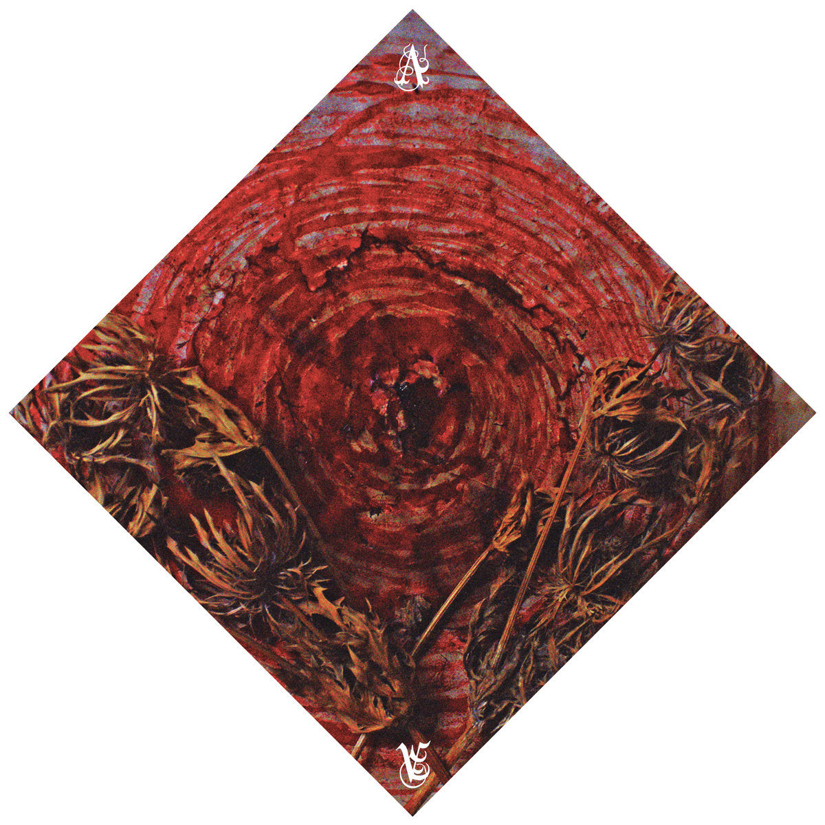 AINSOPH "Affection And Vengeance" CD