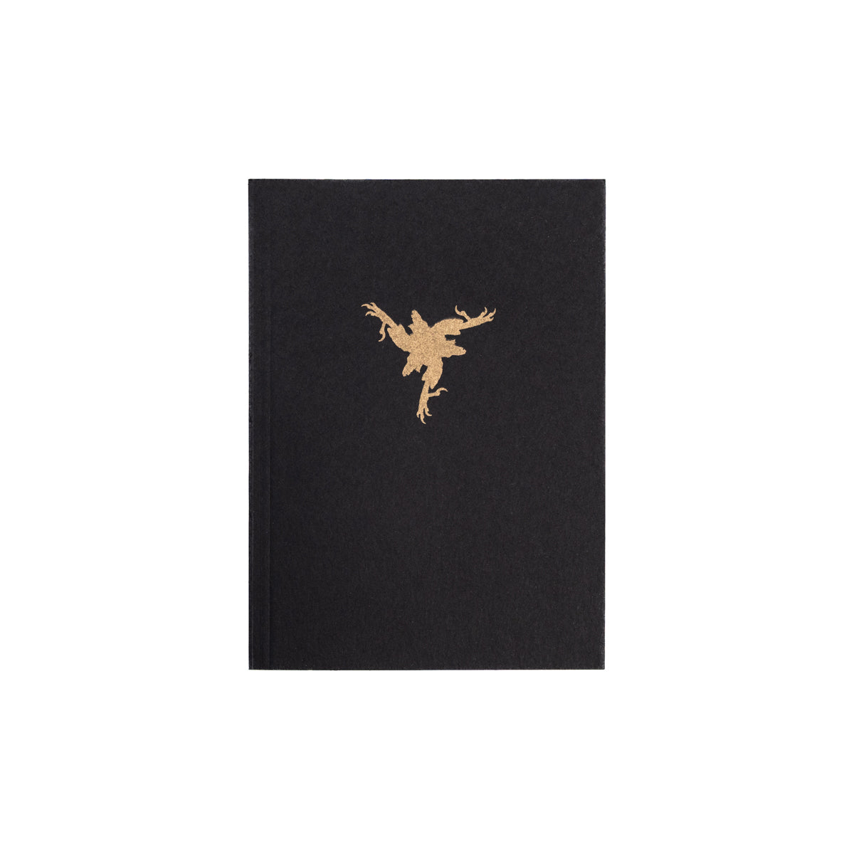 AMENRA "Bible" Book
