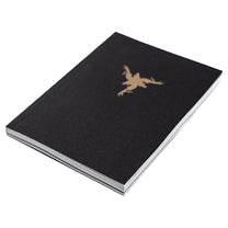 AMENRA &quot;Bible&quot; Book