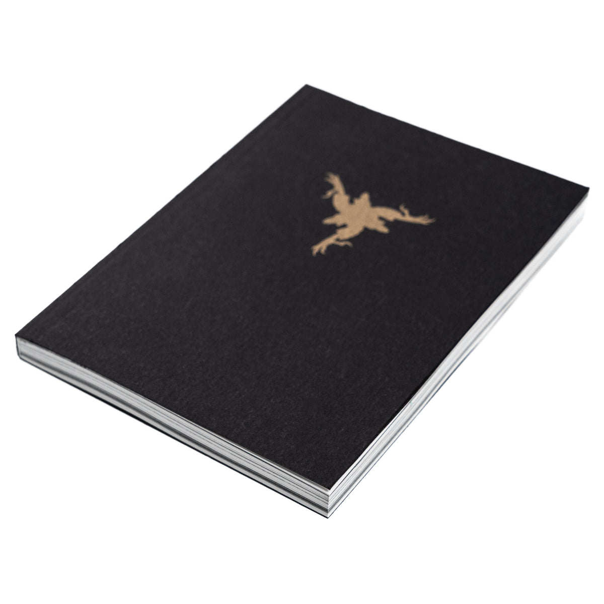 AMENRA &quot;Bible&quot; Book