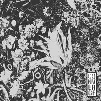 CONVERGE &quot;The Dusk In Us (Deluxe)&quot; 2xLP