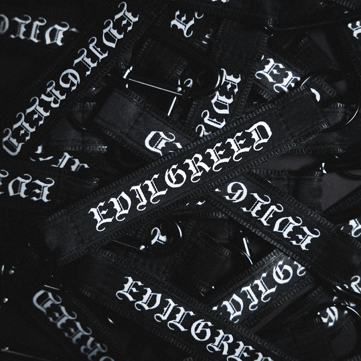 EVIL GREED &quot;Logo&quot; Lanyard
