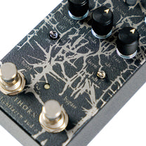 LICHTLAERM AUDIO x AMENRA &quot;Thorn&quot;