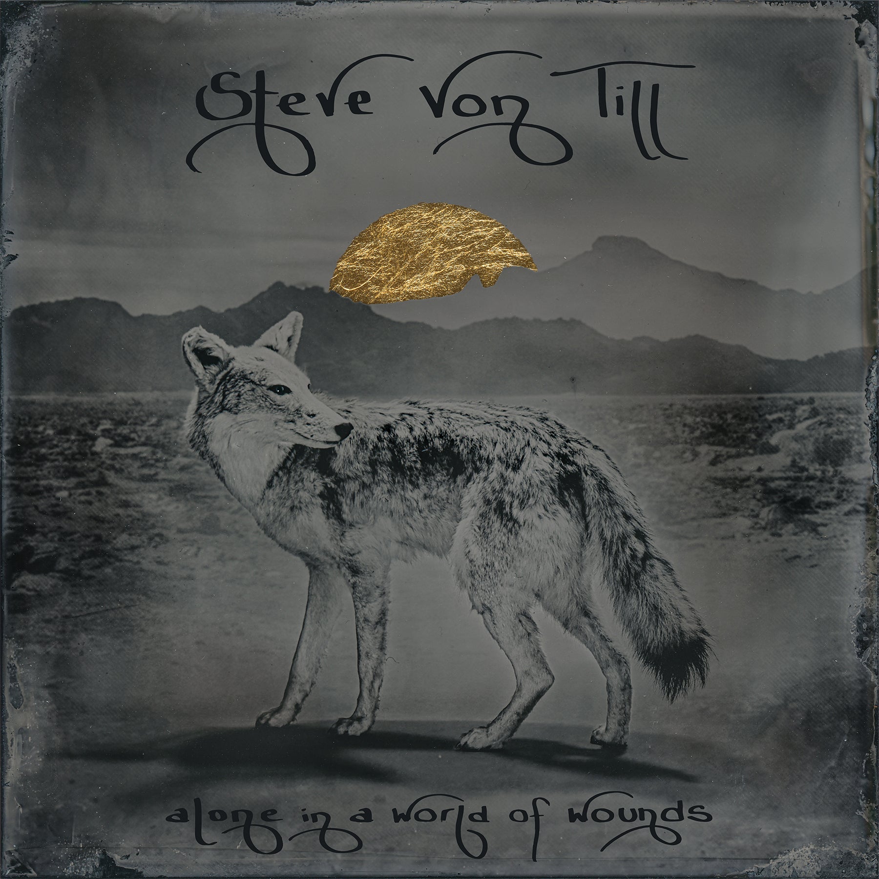 STEVE VON TILL &quot;Alone In A World Of Wounds&quot; LP