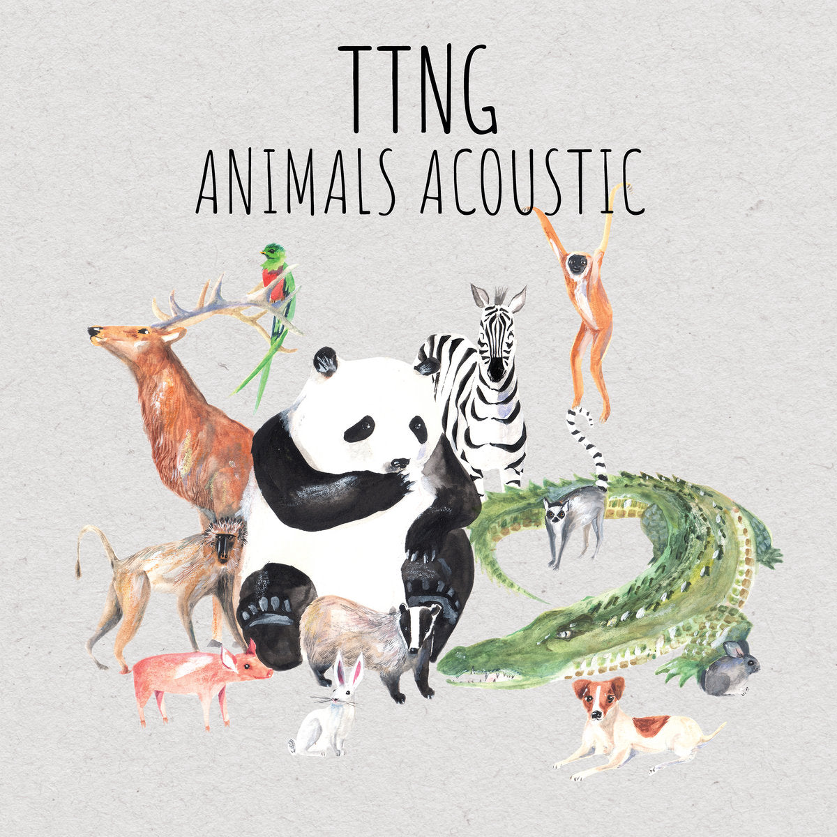 TTNG &quot;Animals - Acoustic&quot; CD