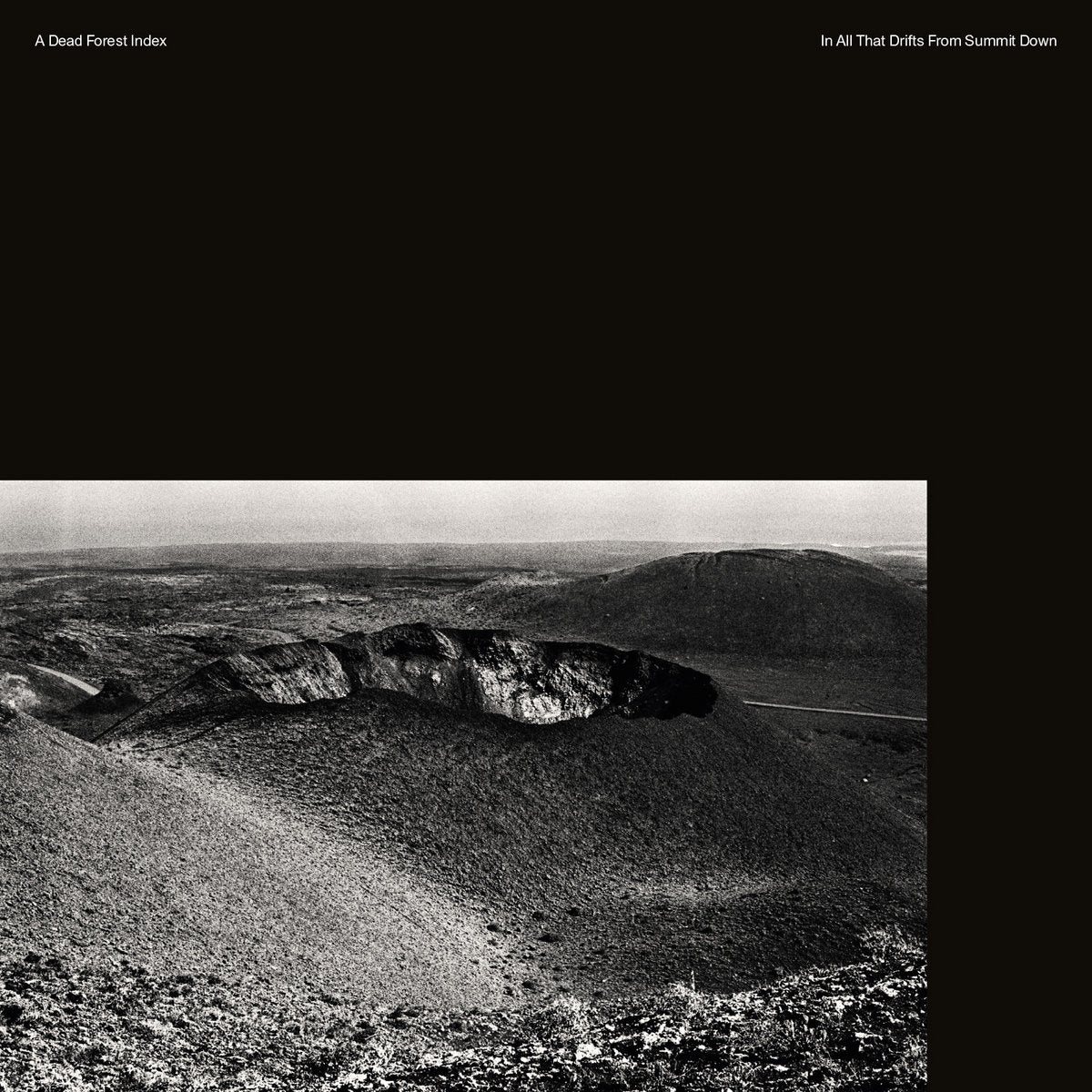 A DEAD FOREST INDEX &quot;In All That Drifts From Summit Down&quot; LP