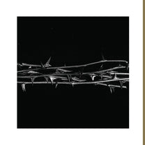 AMENRA &quot;De Doorn&quot; 2xLP