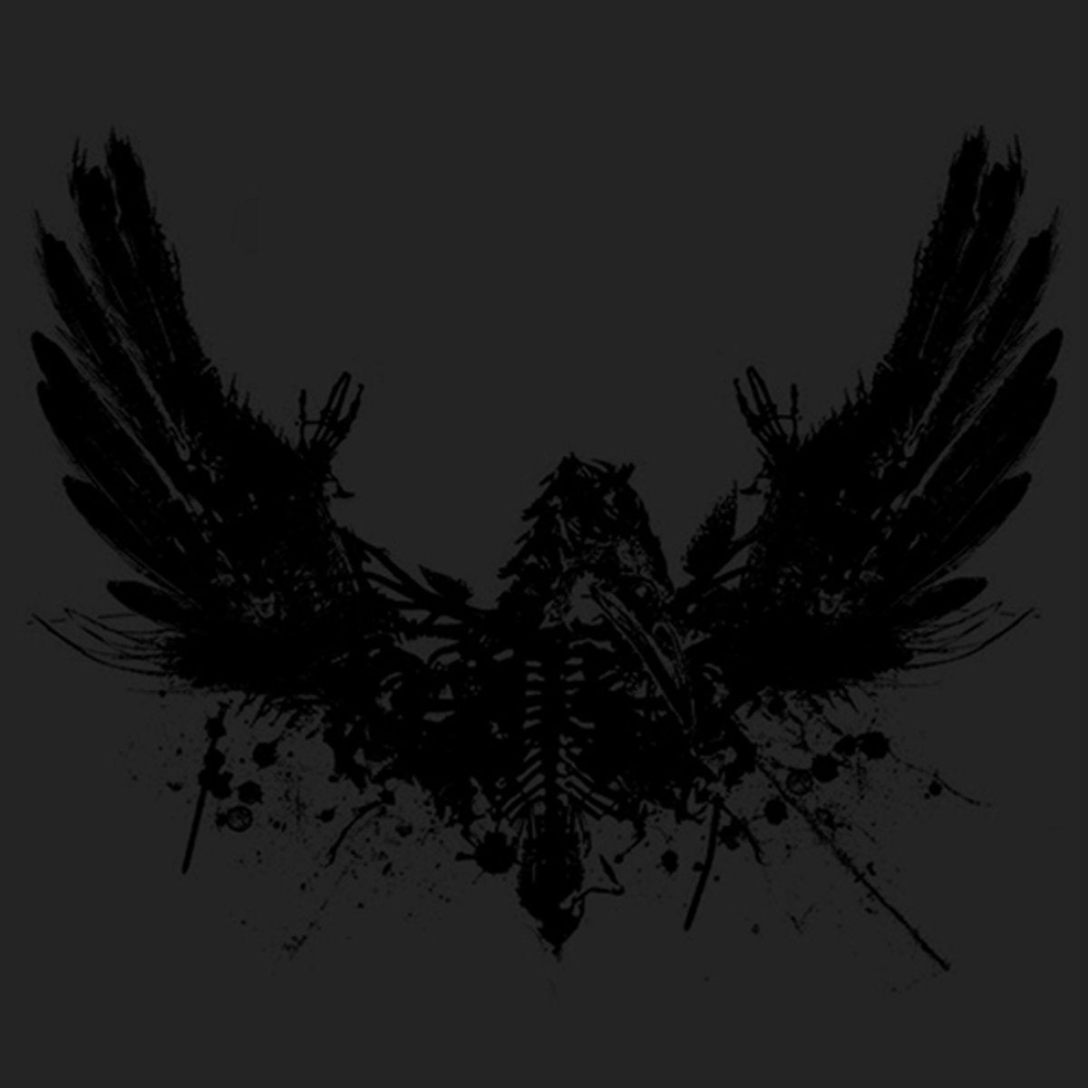 AMENRA &quot;Mass II&quot; LP