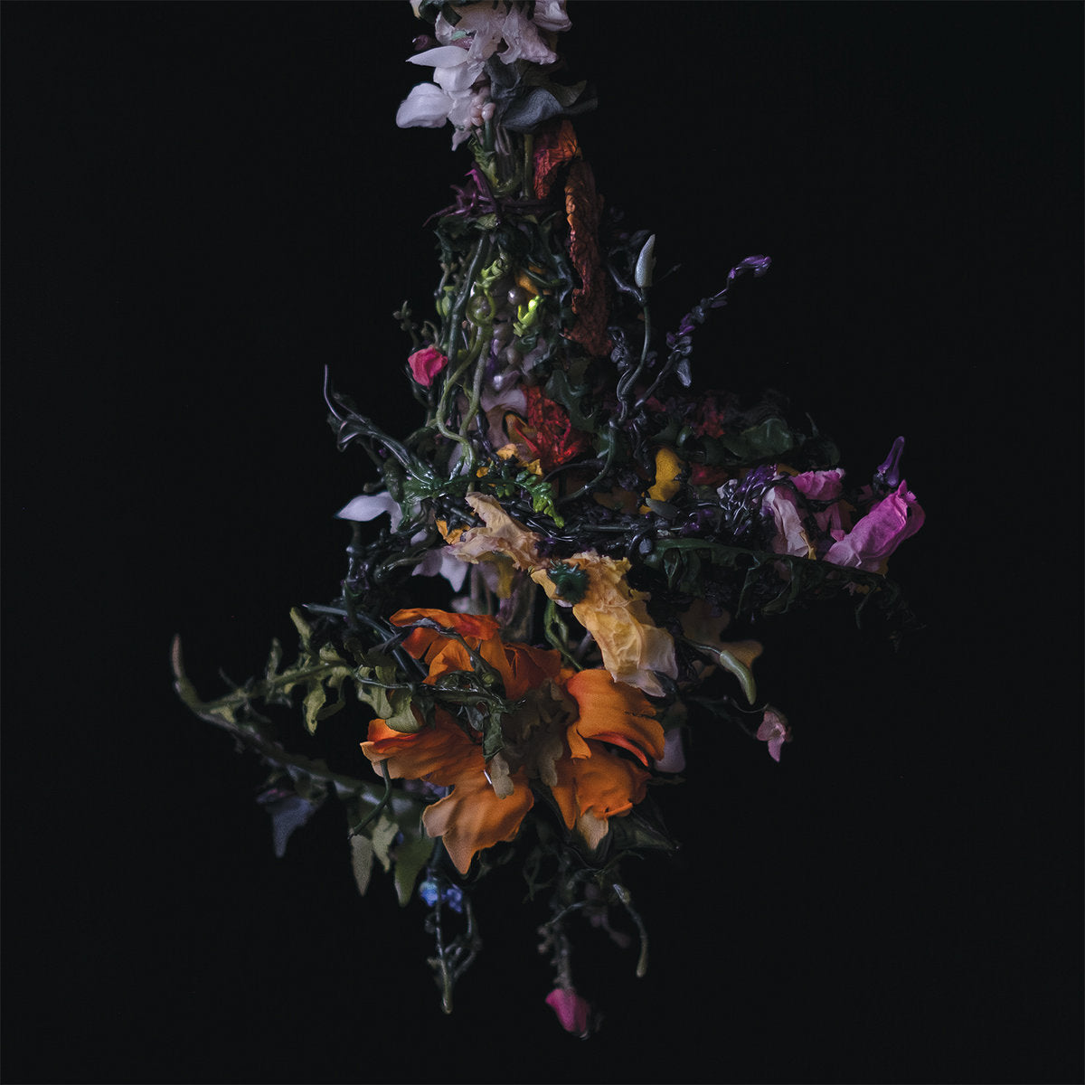 BIG BRAVE &quot;Nature Morte&quot; LP