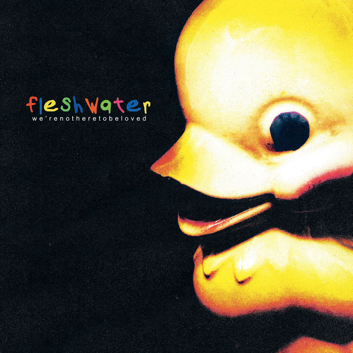 FLESHWATER &quot;We&#39;re Not Here To Be Loved&quot; LP