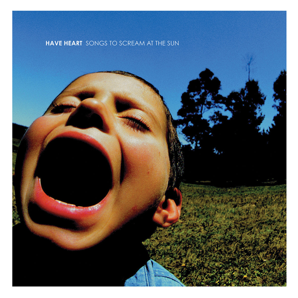 HAVE HEART &quot;Songs To Scream At The Sun&quot; LP