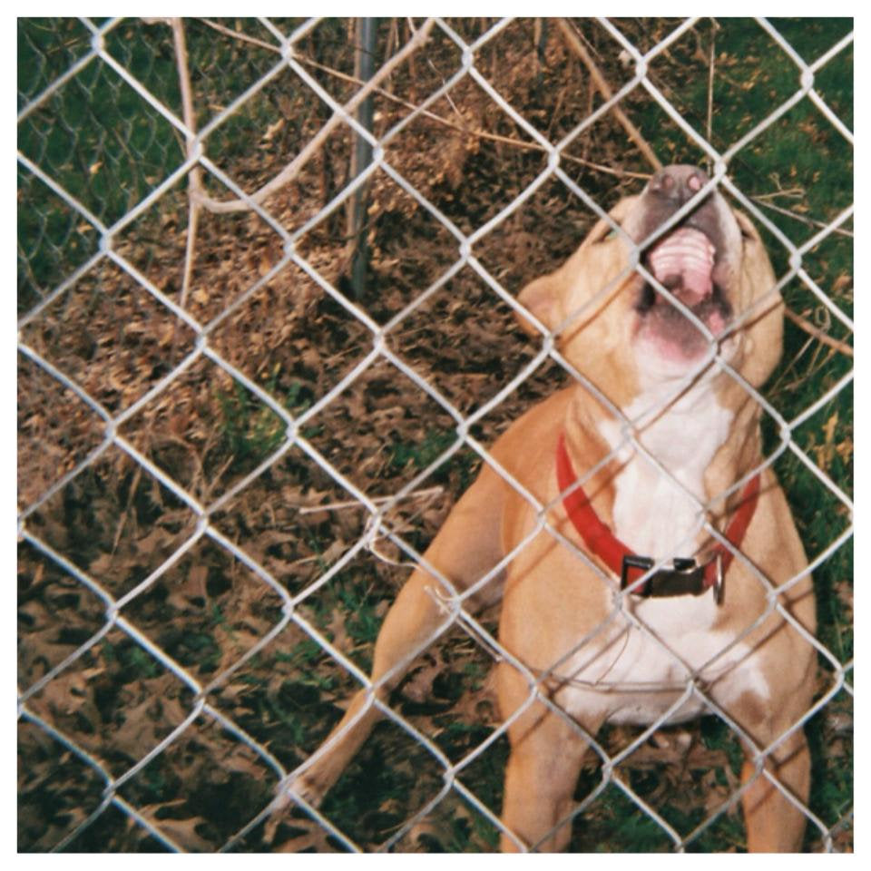 KNOCKED LOOSE &quot;Pop Culture&quot; 12&quot;
