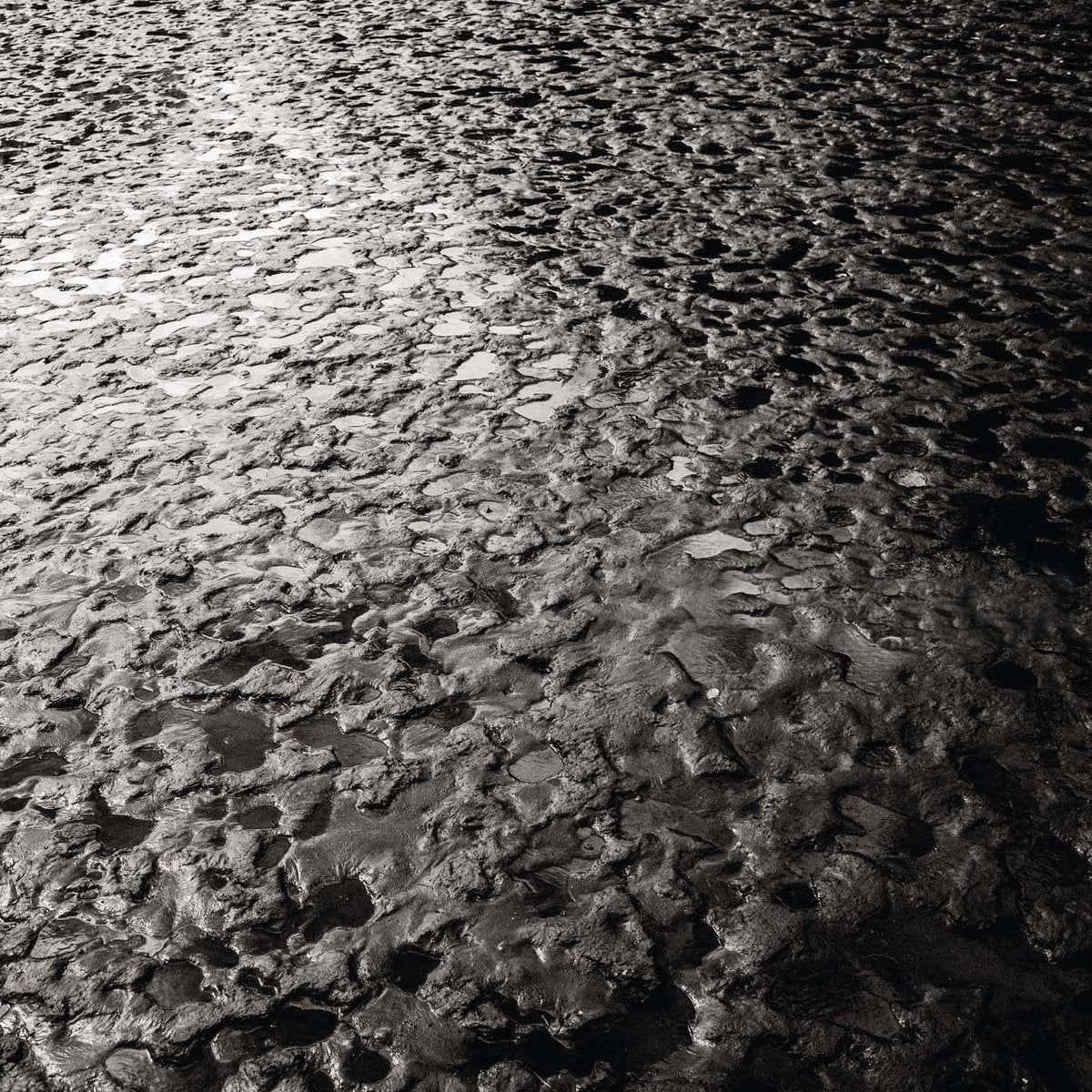 MAMIFFER &amp; DANIEL MENCHE &quot;Crater&quot; CD