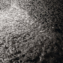 MAMIFFER &amp; DANIEL MENCHE &quot;Crater&quot; CD