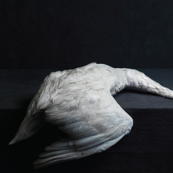 AMENRA &quot;Mass VI&quot; CD