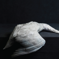 AMENRA &quot;Mass VI&quot; CD