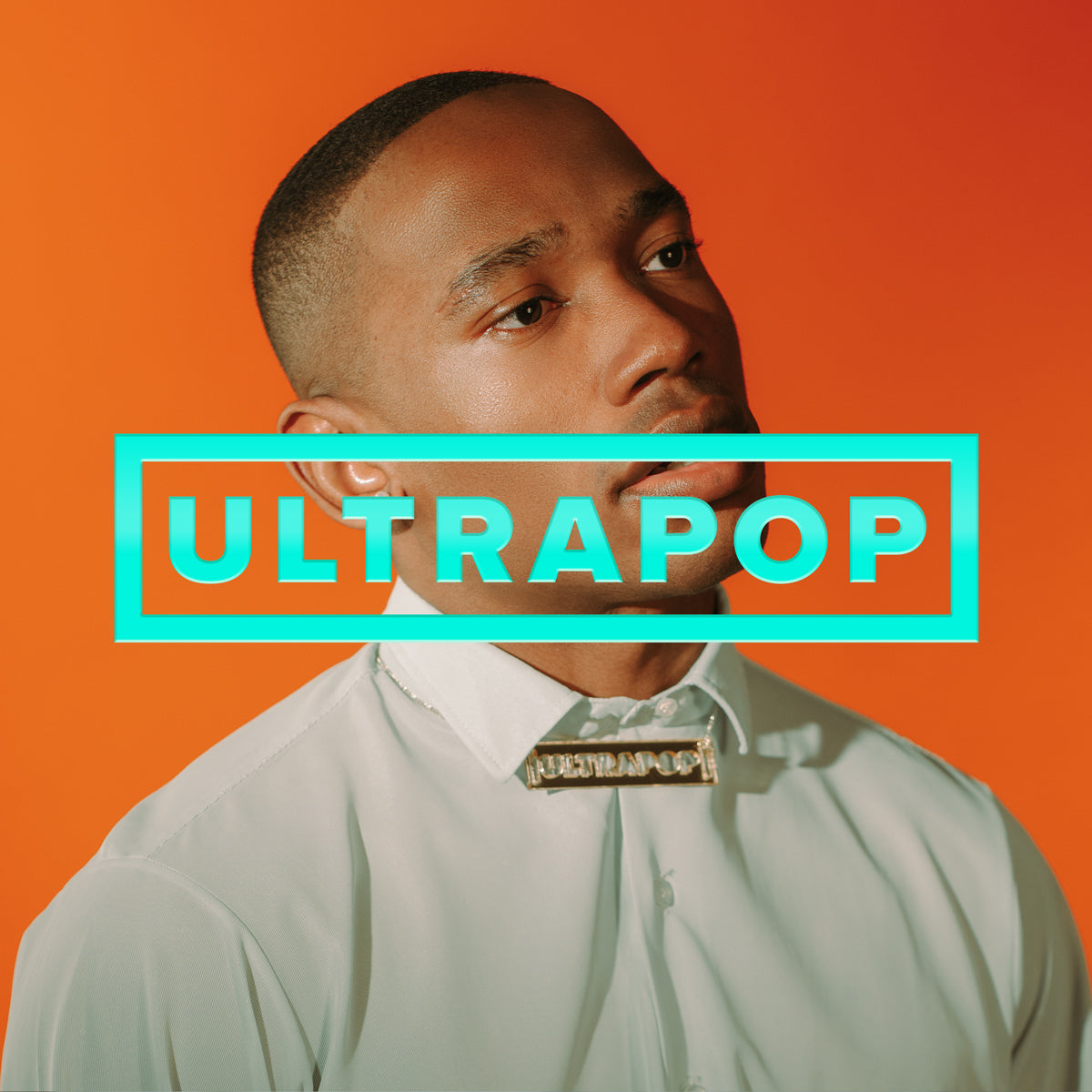 THE ARMED &quot;Ultrapop&quot; LP