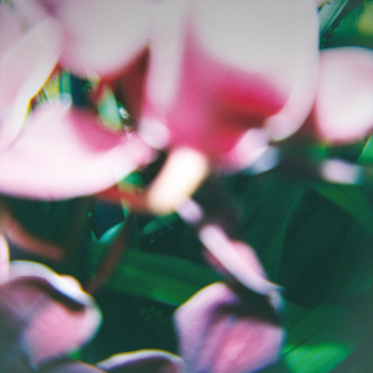 TRADE WIND &quot;You Make Everything Disappear&quot; CD