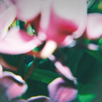TRADE WIND &quot;You Make Everything Disappear&quot; CD