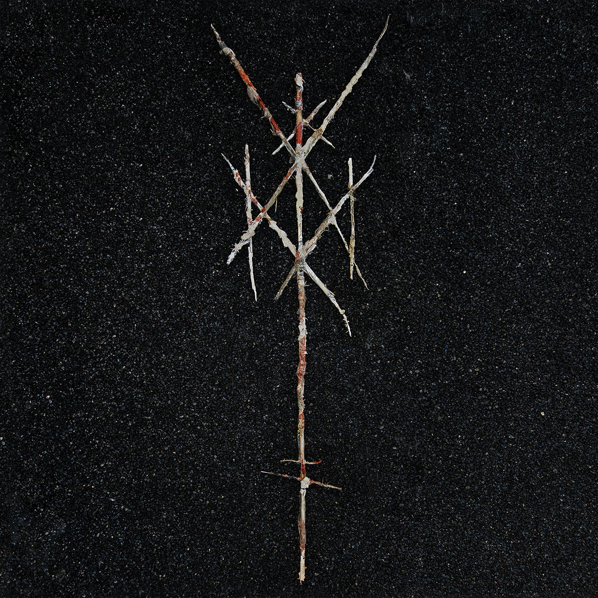 WIEGEDOOD &quot;There&#39;s Always Blood At The End Of The Road&quot; 2xLP