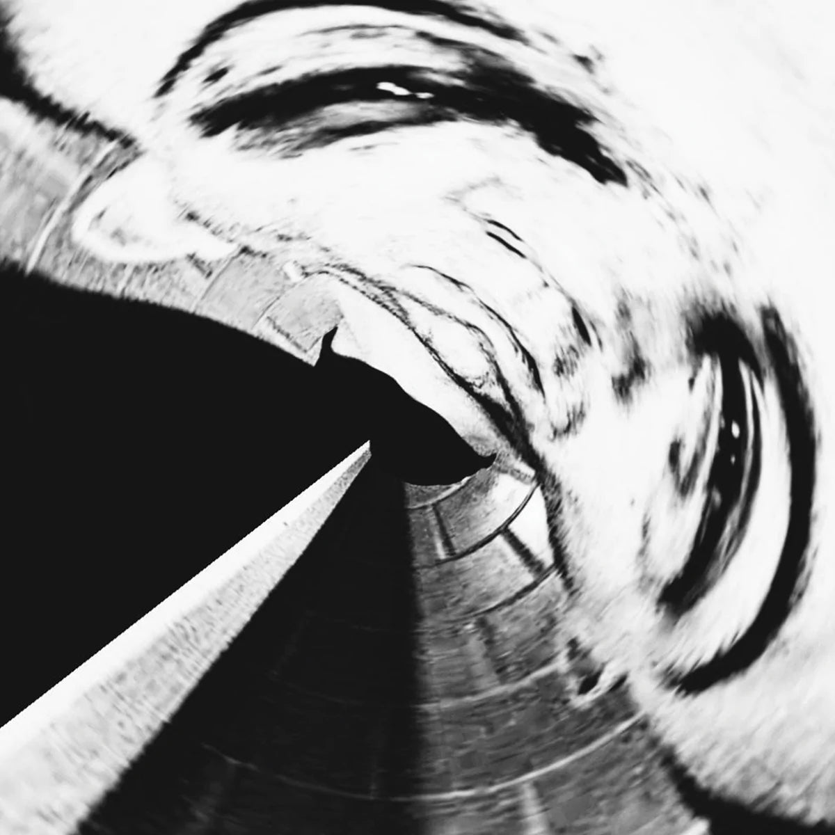SKINHEAD &quot;Skinhead&quot; LP